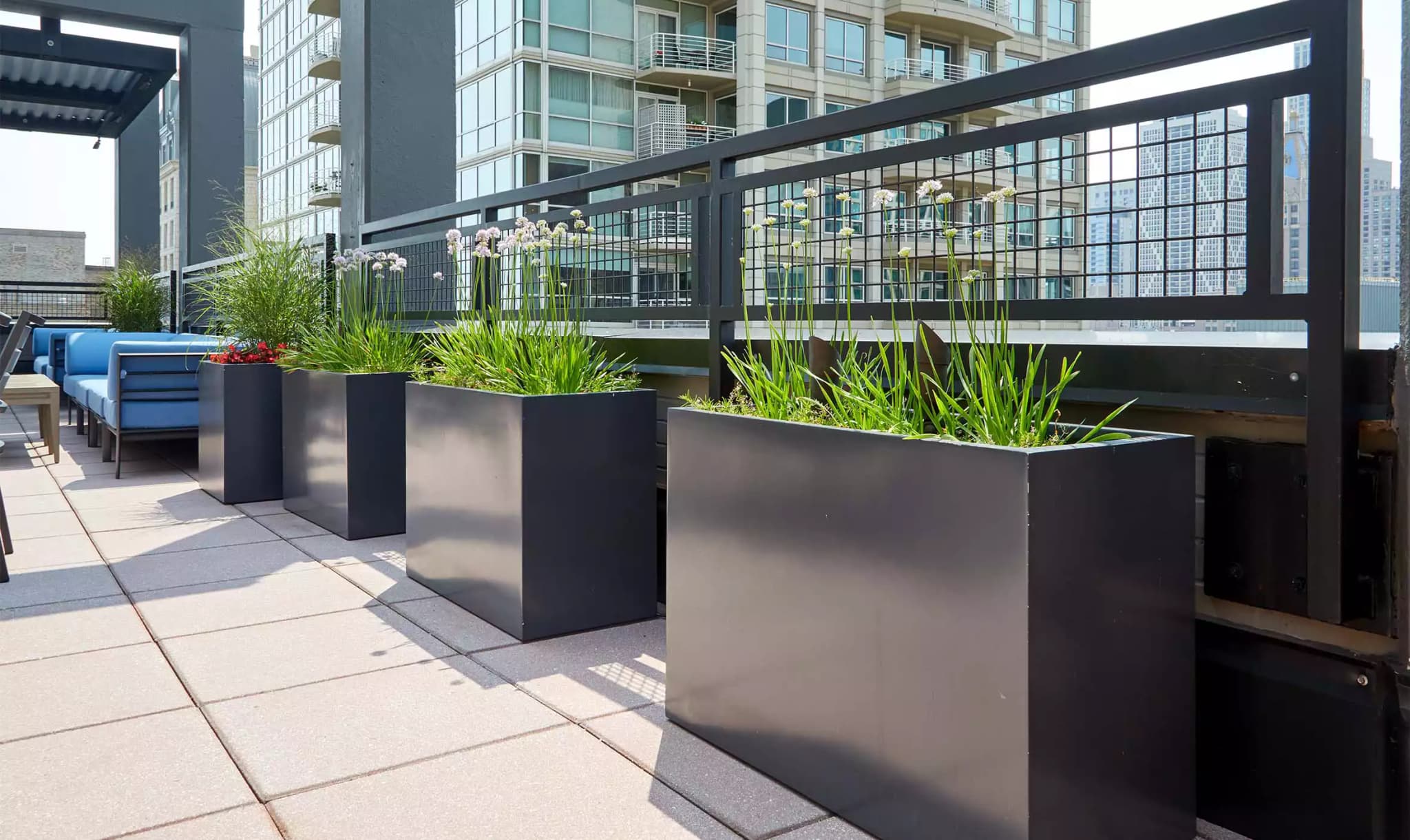 Fiberglass Planters - Gallery image 10