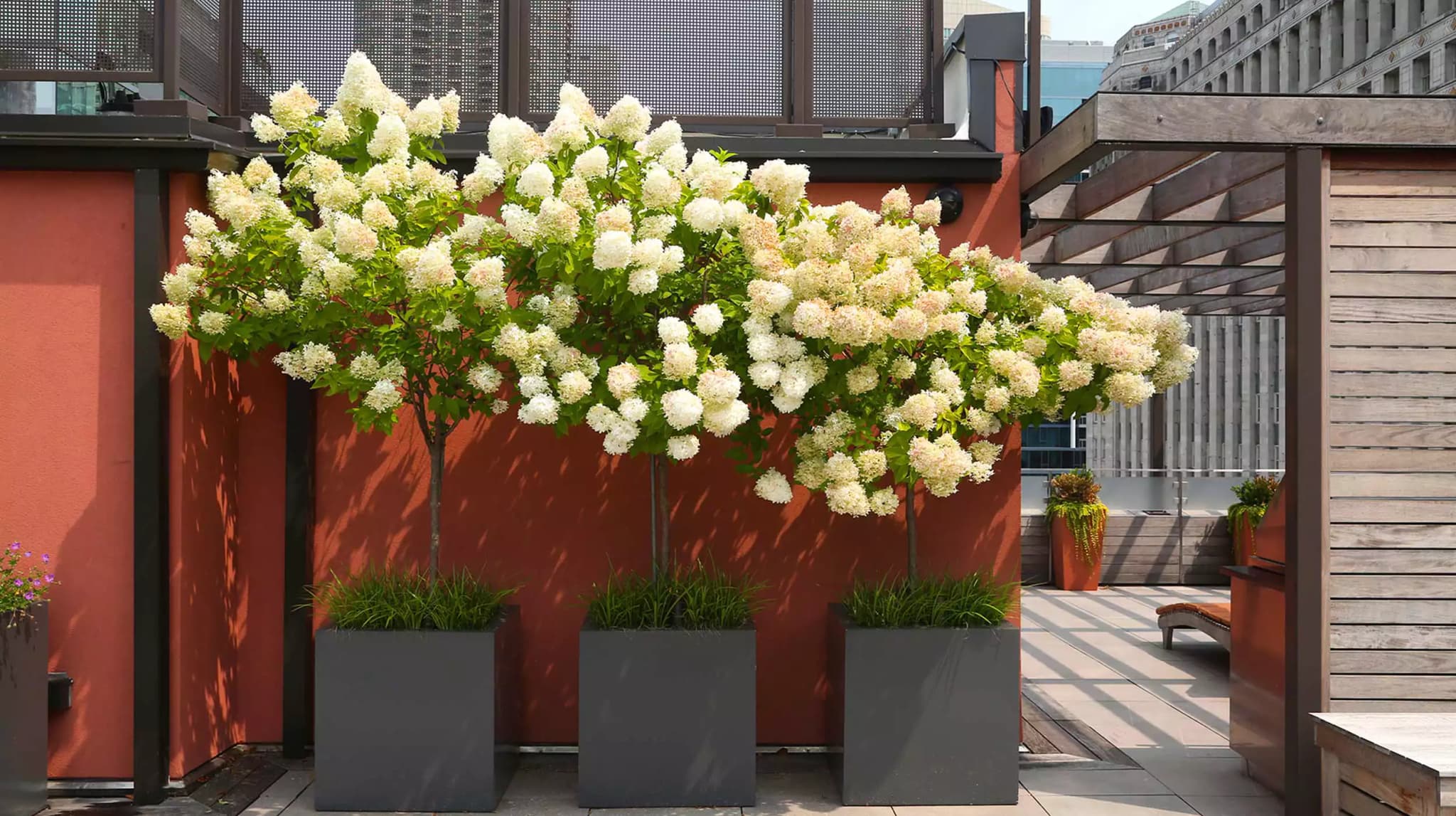 Fiberglass Planters - Gallery image 7