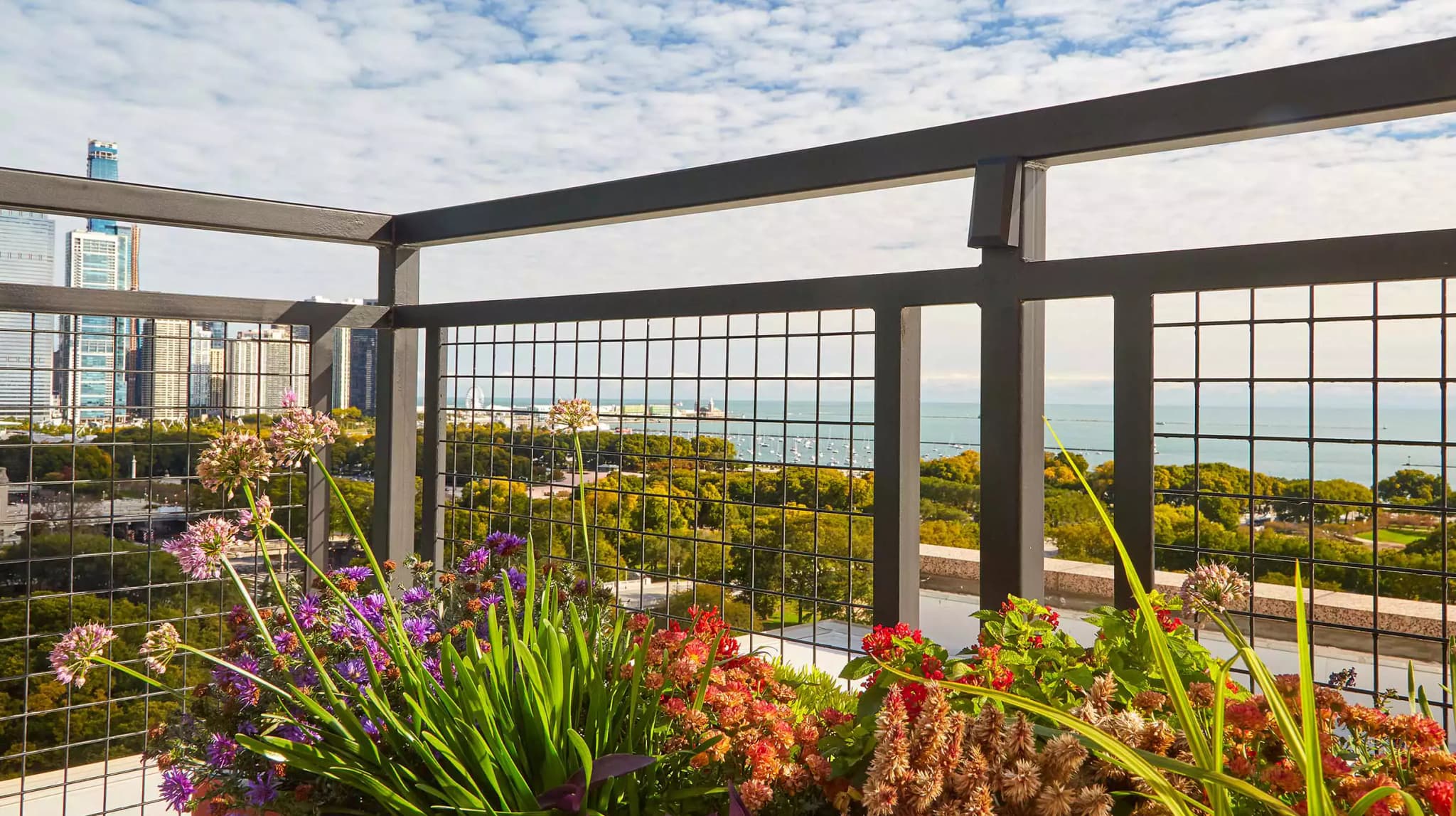 Ebony Jet Building - Gallery image 4