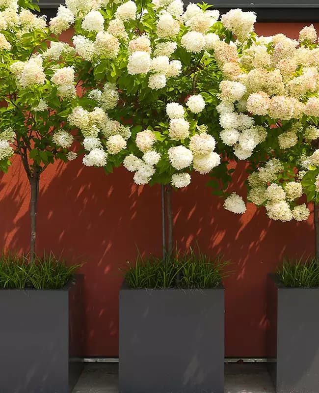 Plumbing - Gallery image 1