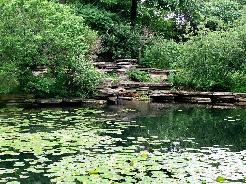 Alfred Caldwell Lily Pool