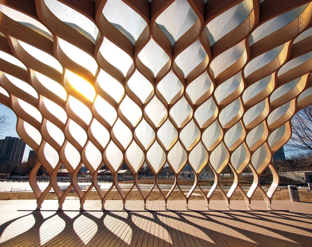 Nature Boardwalk at Lincoln Park