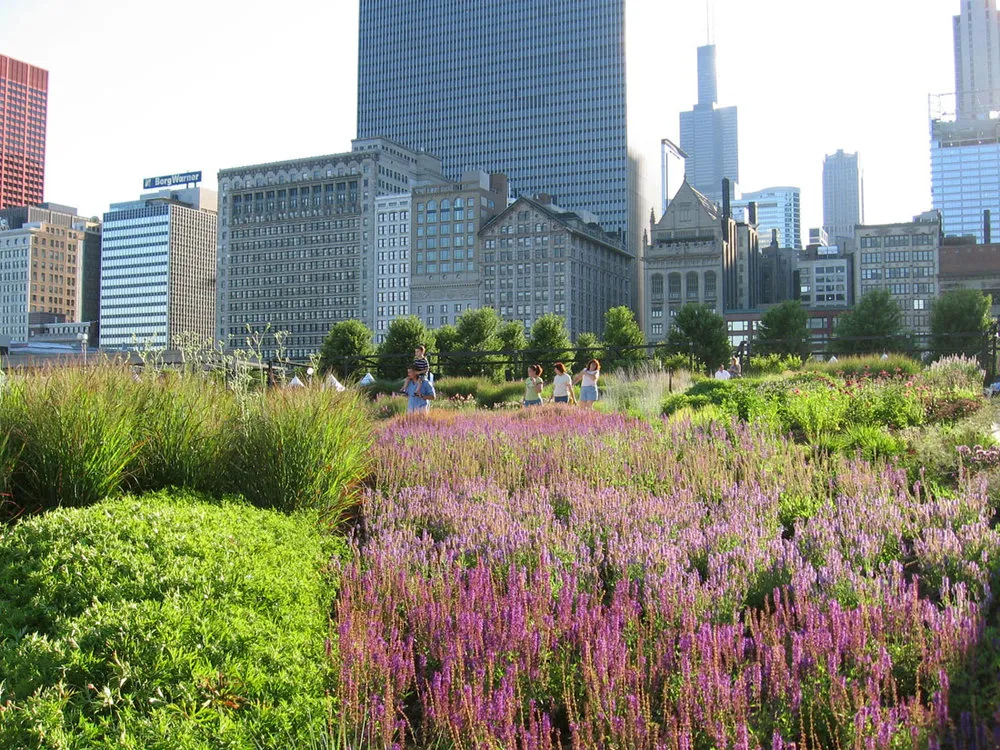 Lurie Garden at Millennium Park