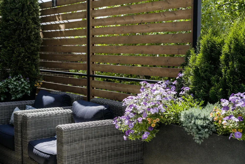 Bosworth roof deck project