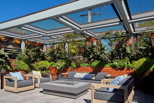 Fall and Winter Annual Rotations